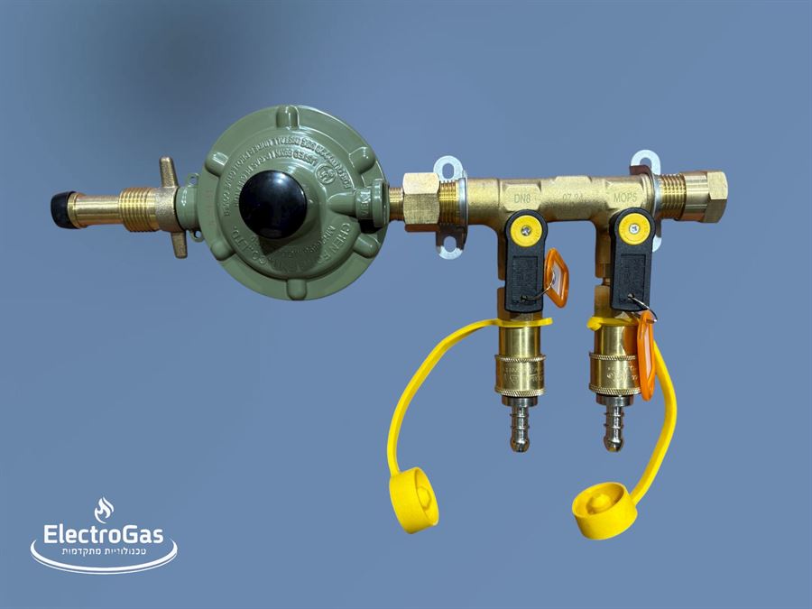 ווסת גז עם מפצל ל-2 נקודות גז עם חיבורי ניתוק מהיר - לחיבור ישירות מיכל גז